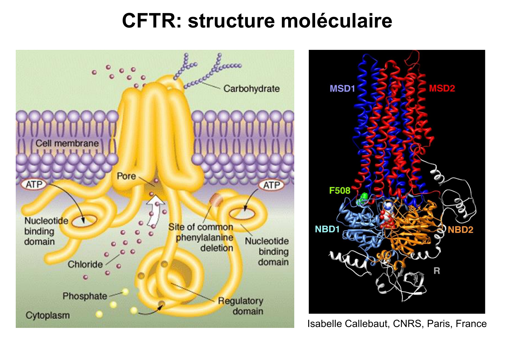 Aspect moleculaire 2025-2026 page 3