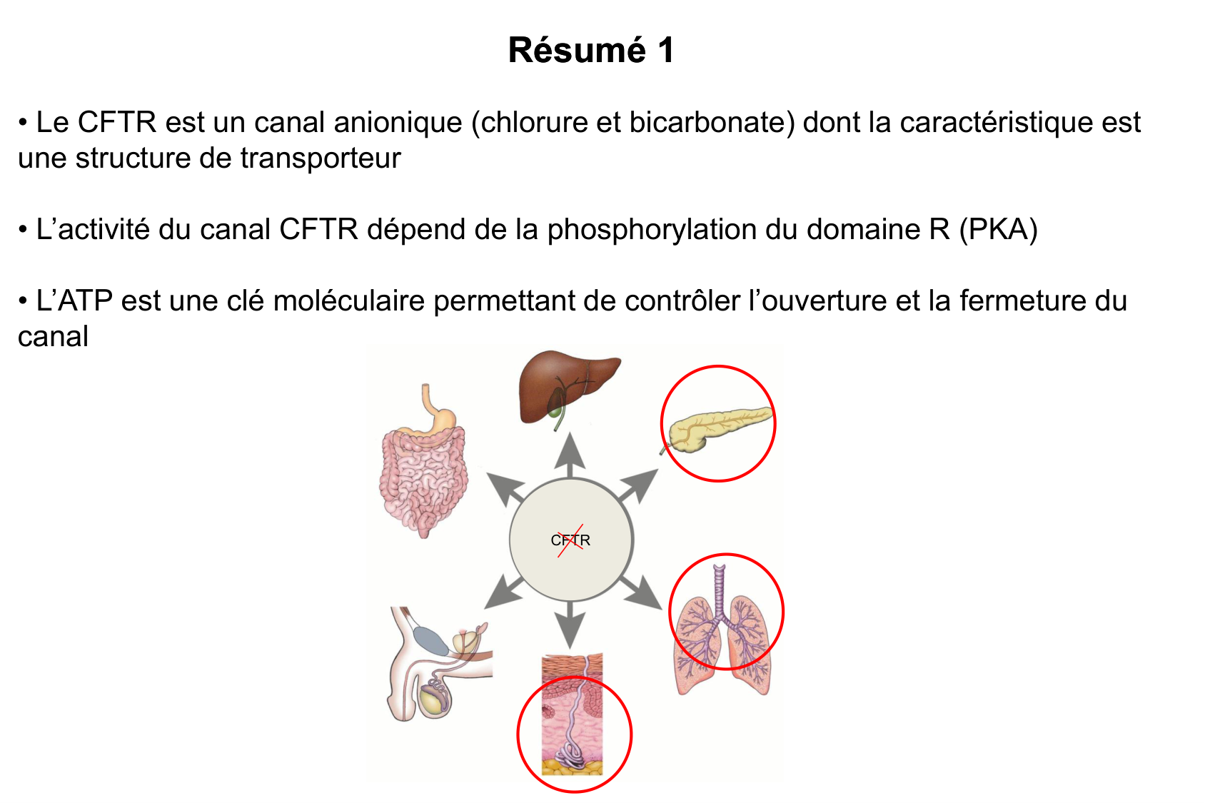 Aspect moleculaire 2025-2026 page 8