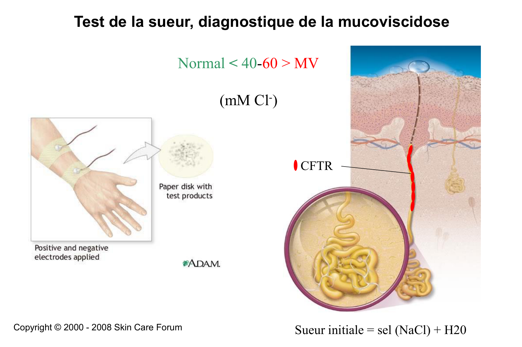 Aspect moleculaire 2025-2026 page 9