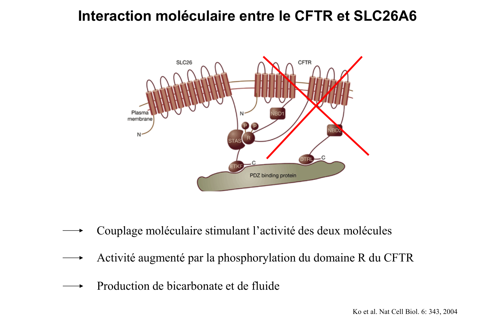 Aspect moleculaire 2025-2026 page 13