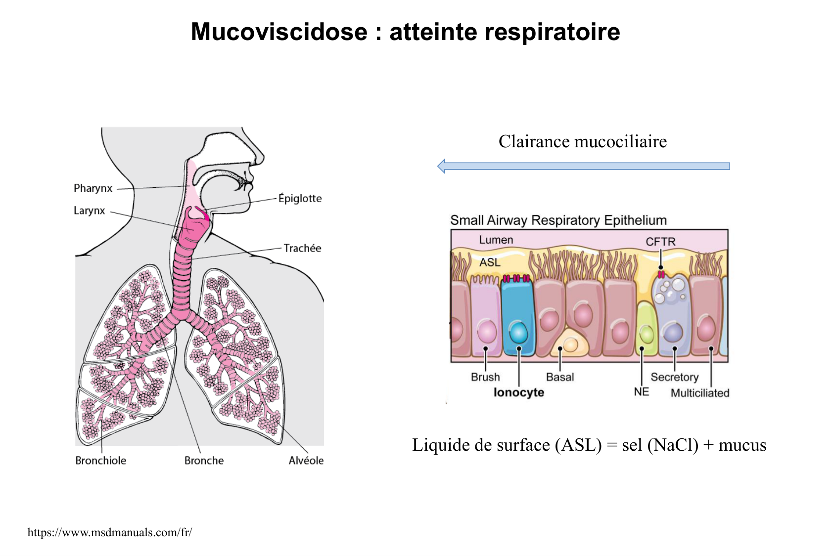 Aspect moleculaire 2025-2026 page 15