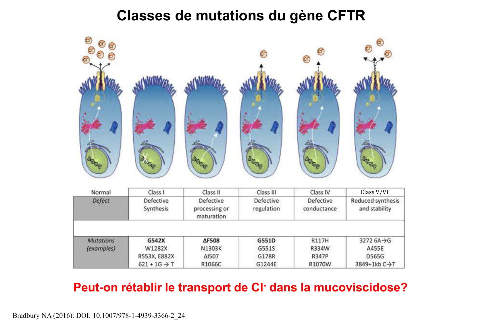 Aspect moleculaire 2025-2026 page 18