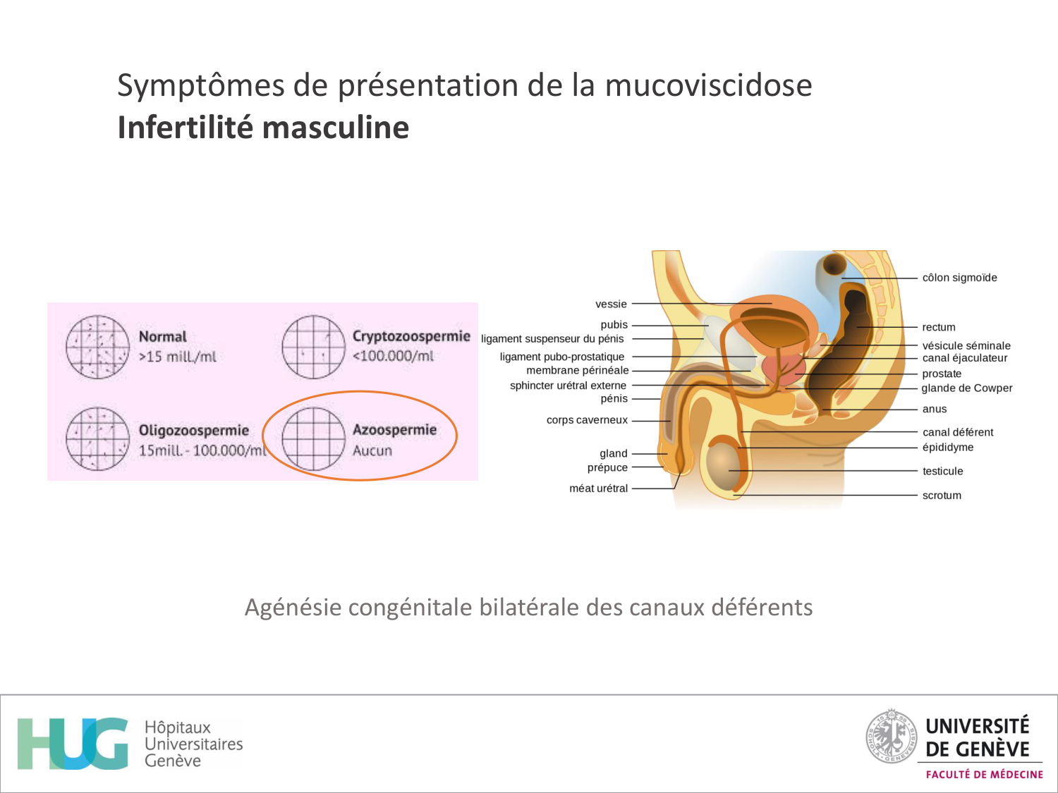 Cours Cas de Liaison Muco 1 oct2025 page 17