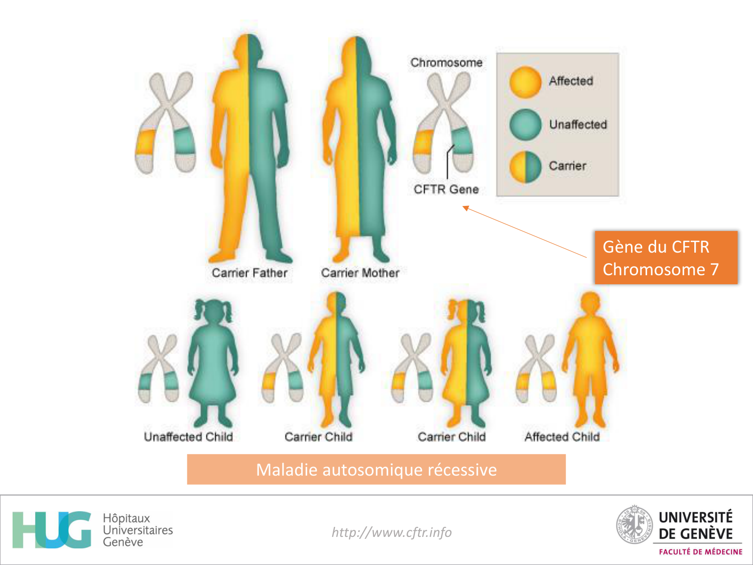 Cours Cas de Liaison Muco 1 oct2025 page 22