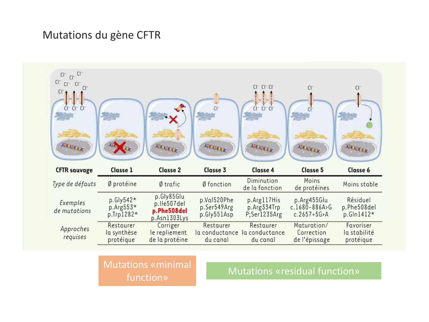 Cours Cas de Liaison Muco 1 oct2025 page 28