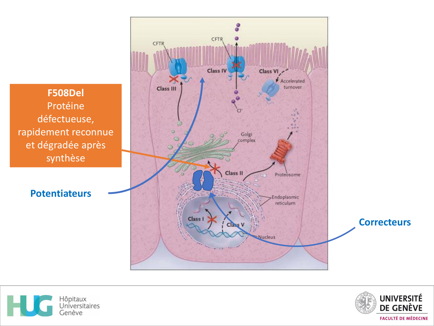 Cours Cas de Liaison Muco 1 oct2025 page 31