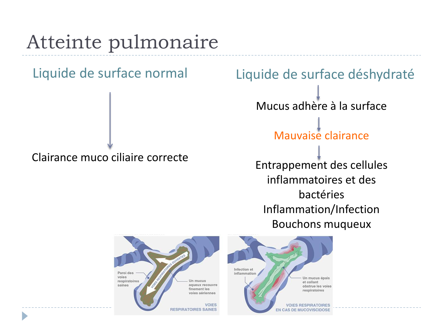 Cours Muco 6- atteinte pulm AMornand page 10