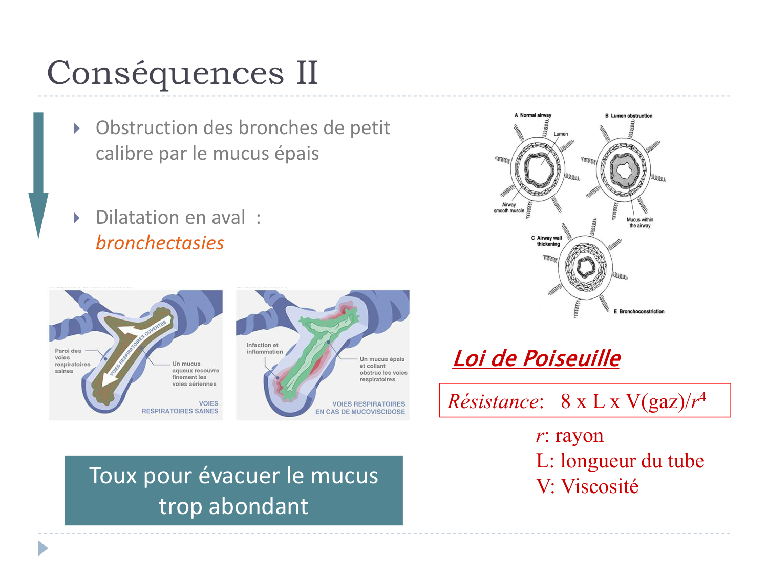 Cours Muco 6- atteinte pulm AMornand page 12