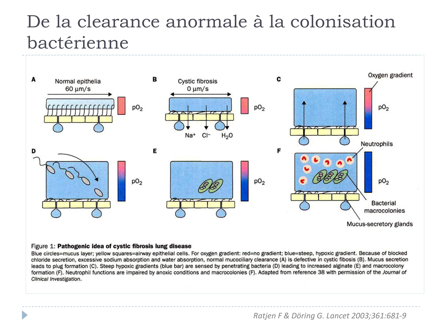 Cours Muco 6- atteinte pulm AMornand page 14