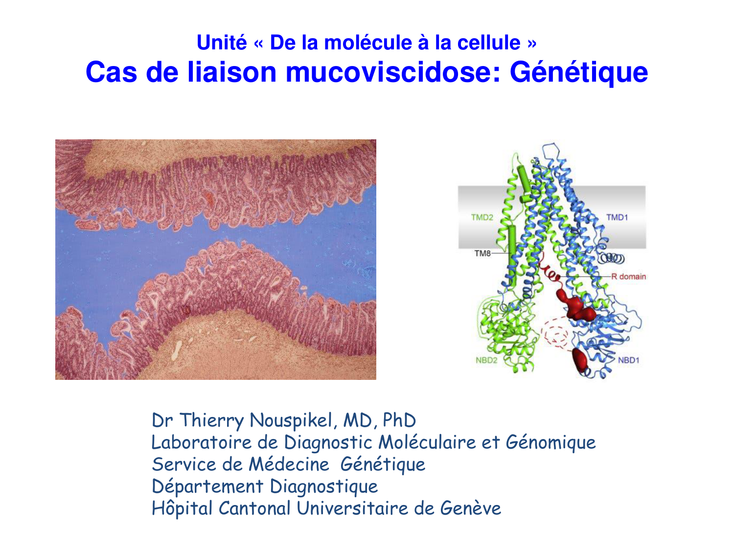 Cours muco 2025 Nouspikel page 1