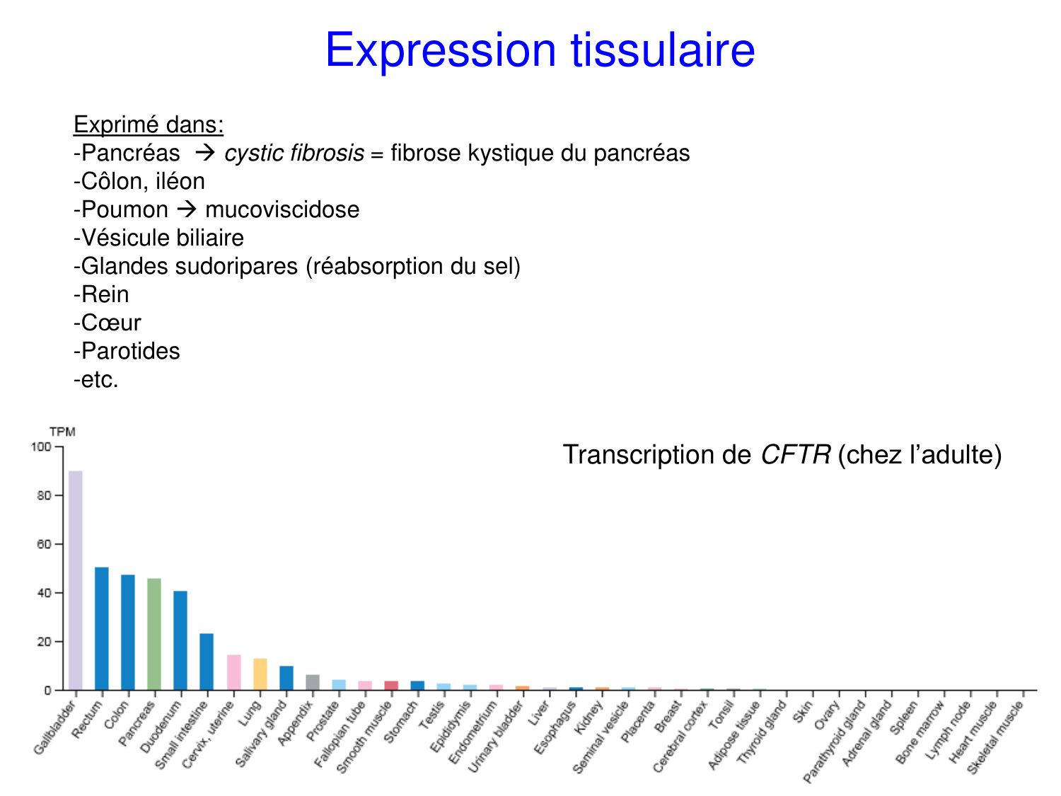 Cours muco 2025 Nouspikel page 6