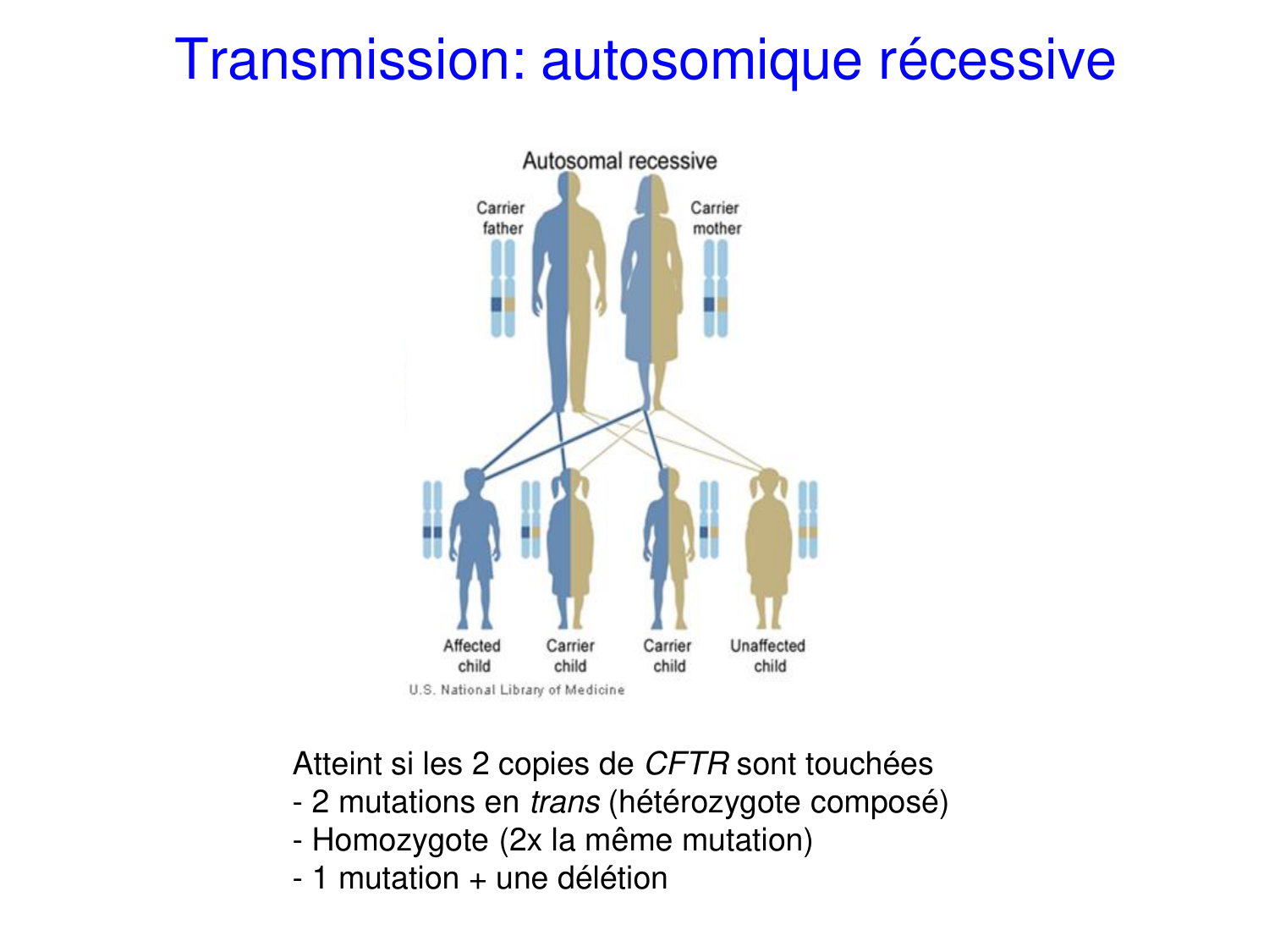 Cours muco 2025 Nouspikel page 7