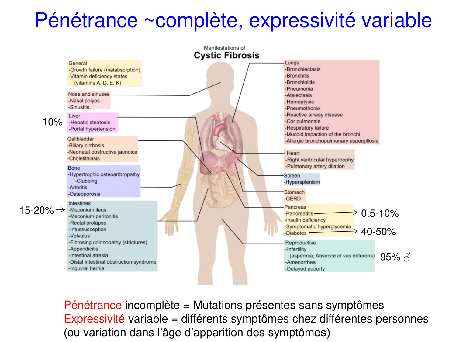 Cours muco 2025 Nouspikel page 8