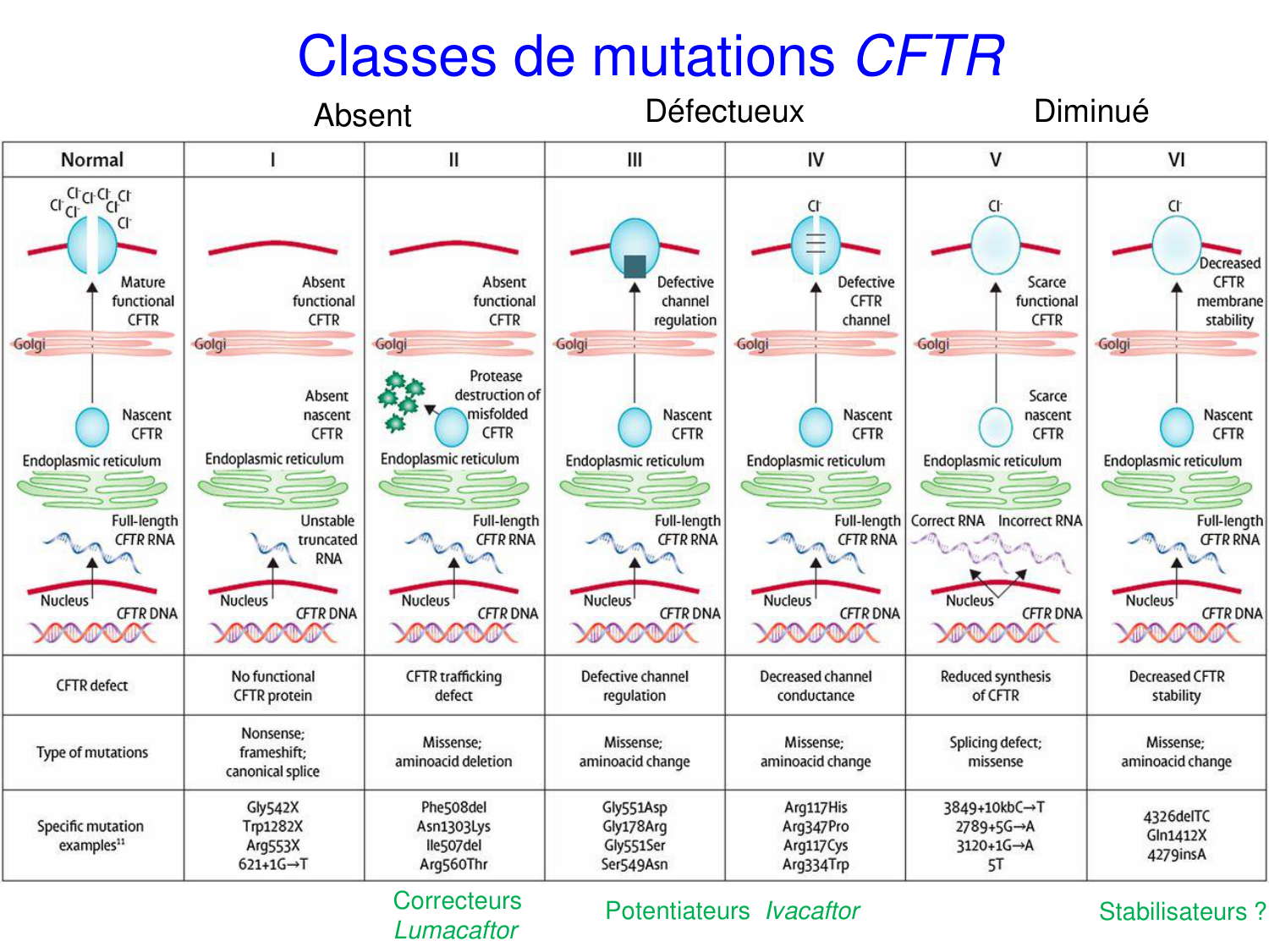 Cours muco 2025 Nouspikel page 17