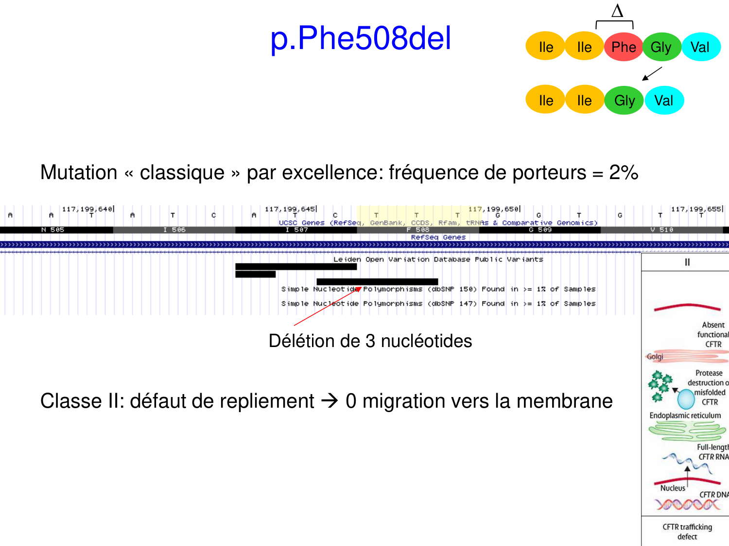 Cours muco 2025 Nouspikel page 20