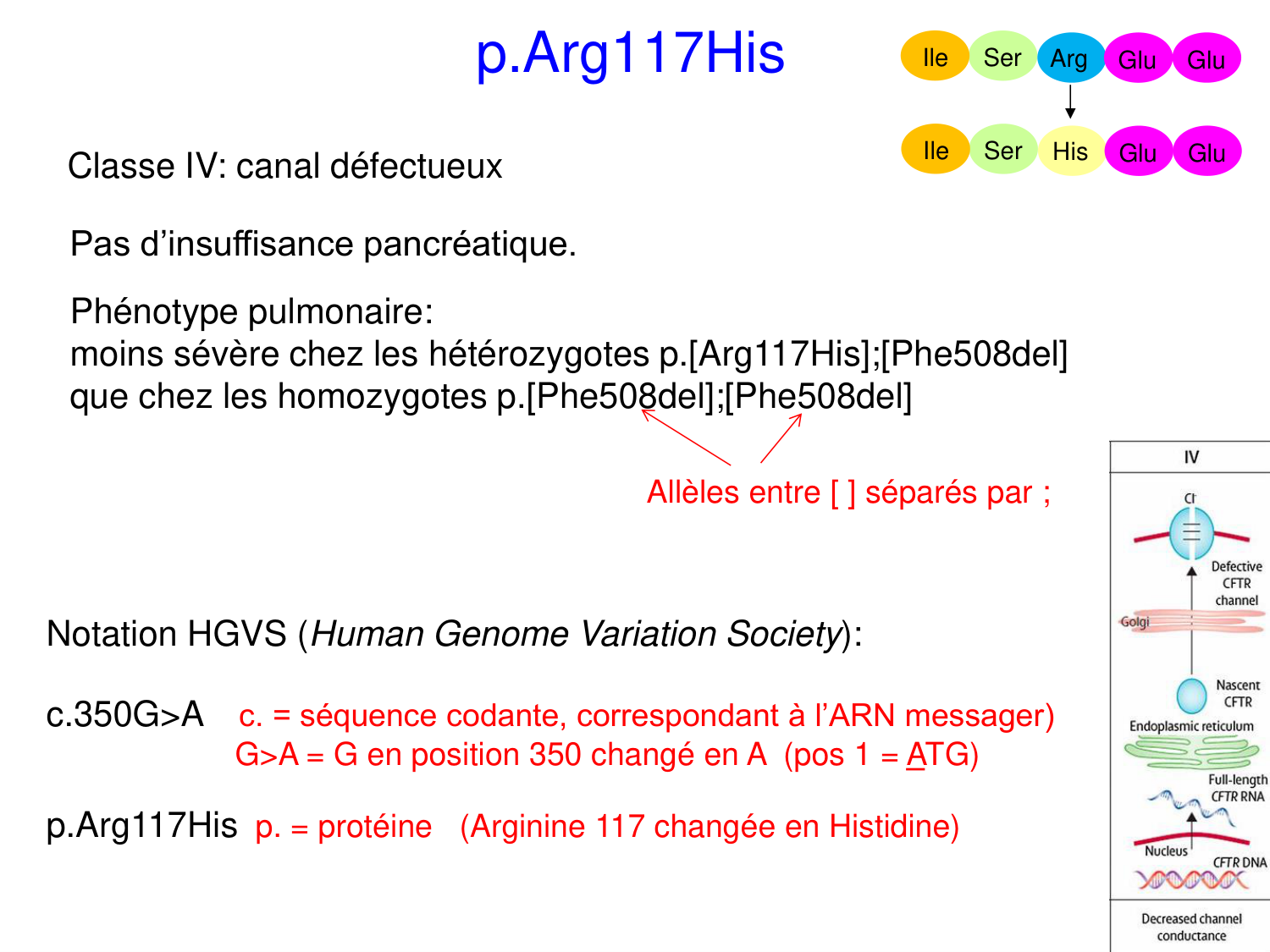 Cours muco 2025 Nouspikel page 21