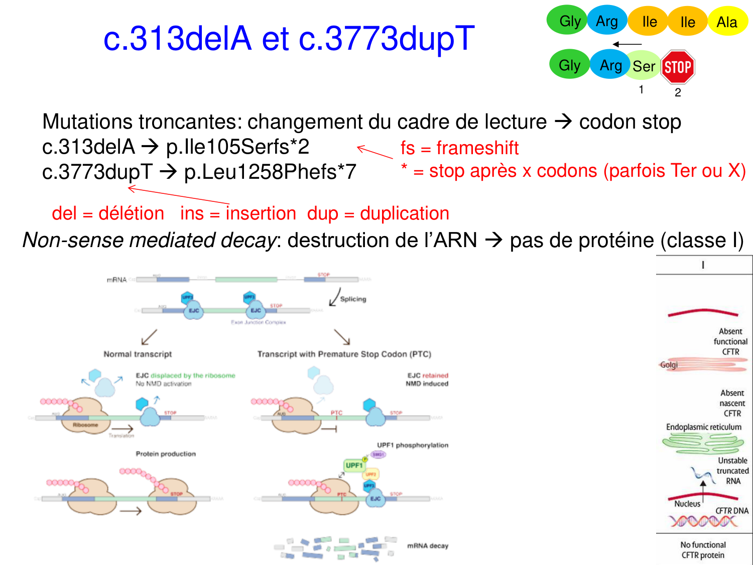 Cours muco 2025 Nouspikel page 22