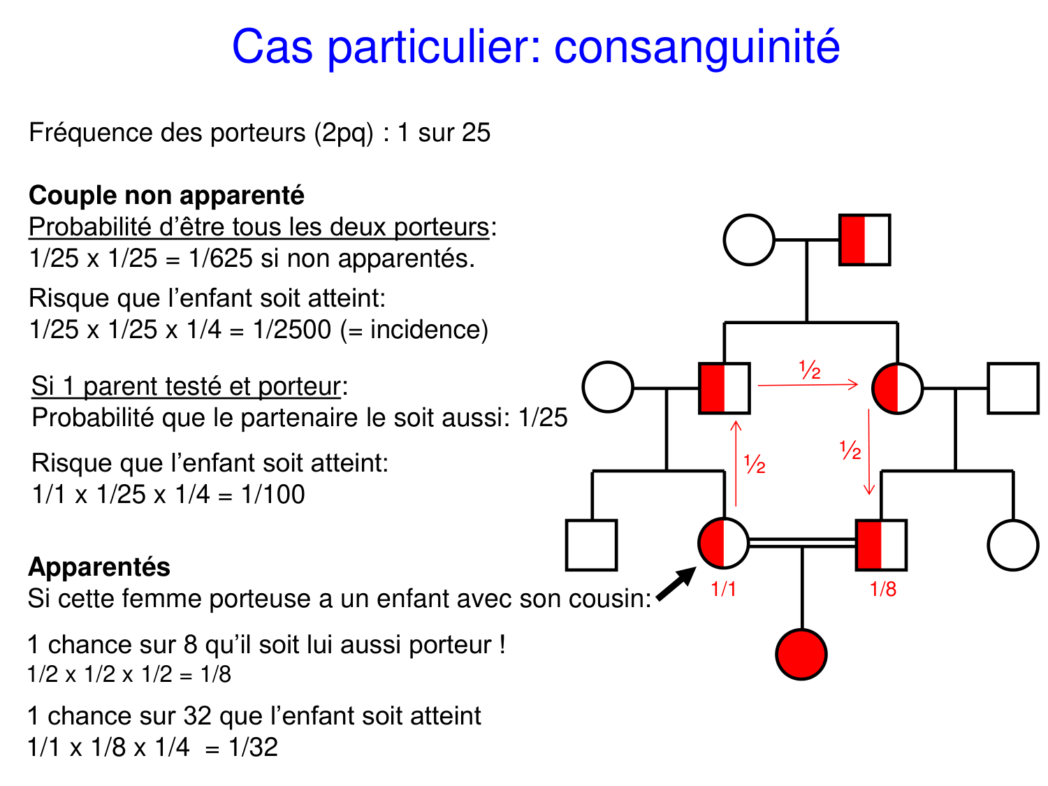 Cours muco 2025 Nouspikel page 31
