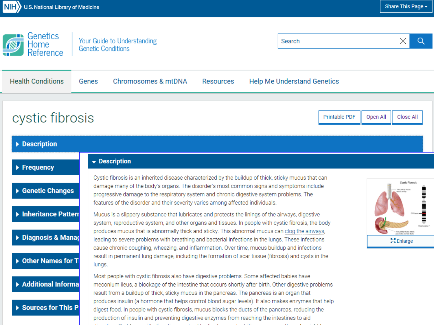 Cours muco 2025 Nouspikel page 41