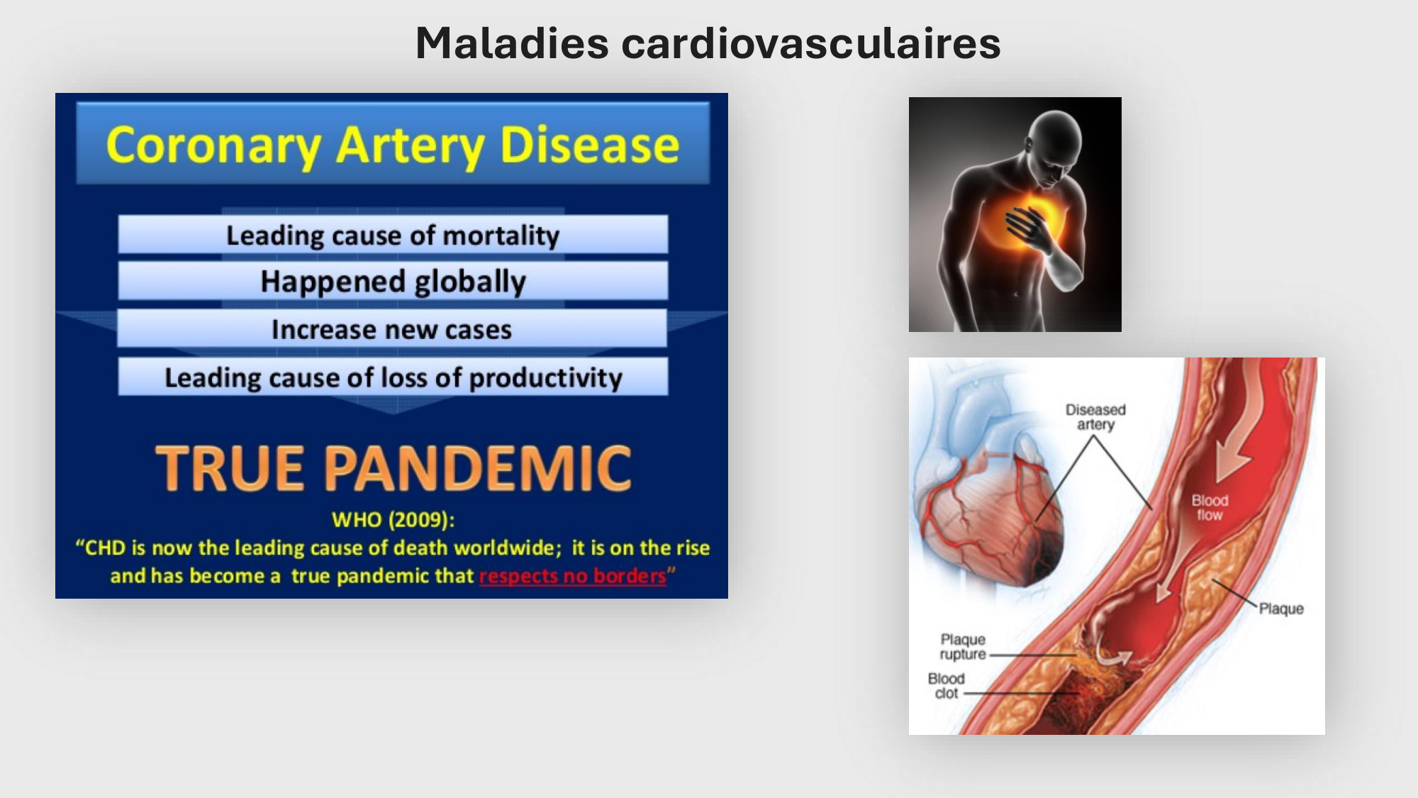 F-Mach-Cas de-liaison-Athero-1-2025 page 20