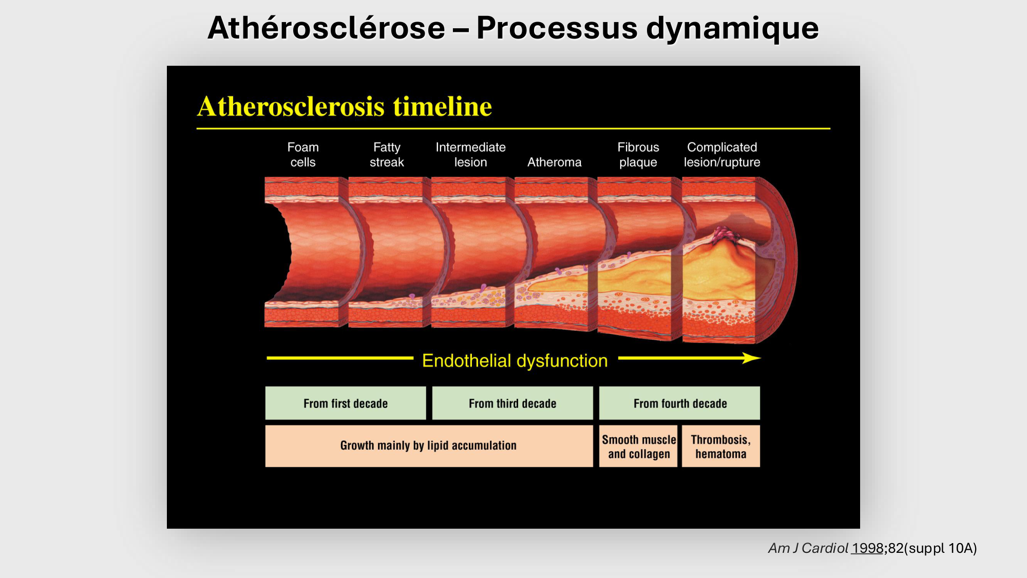 F-Mach-Cas de-liaison-Athero-1-2025 page 23