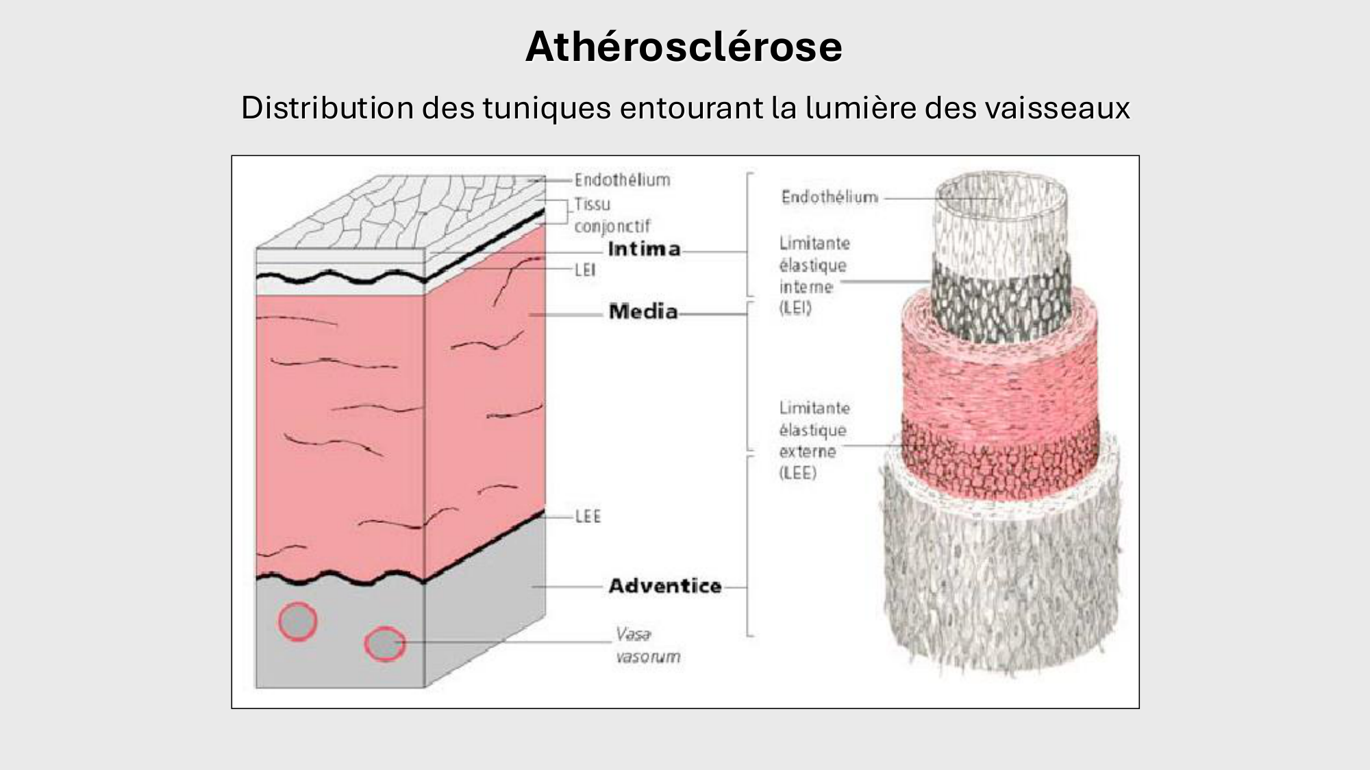 F-Mach-Cas de-liaison-Athero-1-2025 page 37