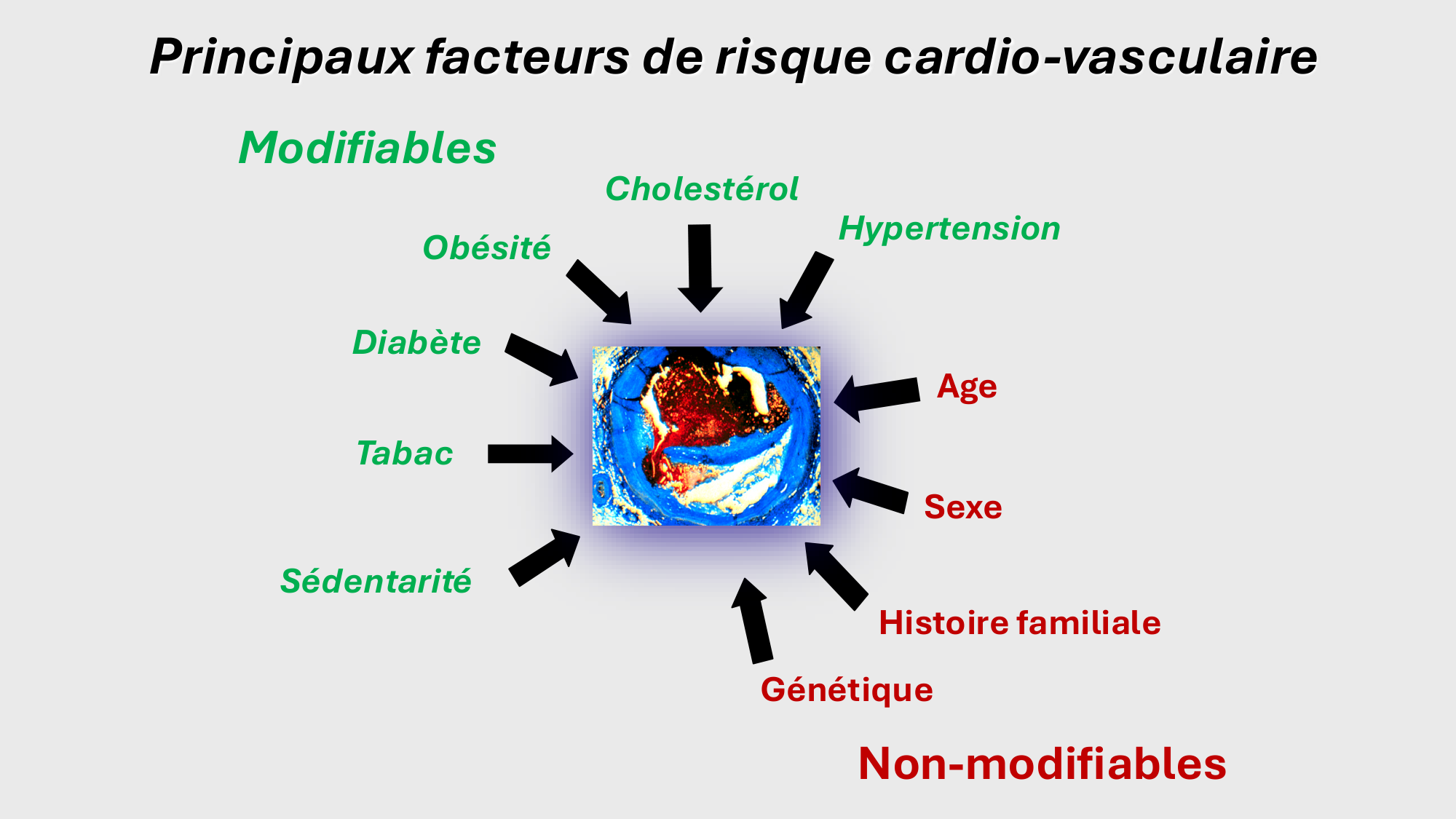 F-Mach-Cas de-liaison-Athero-2-2025 page 3