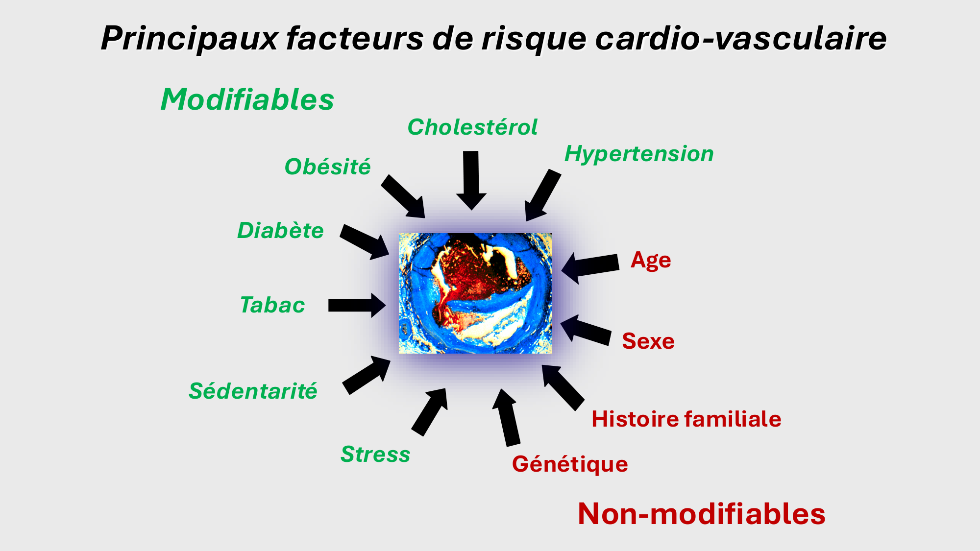 F-Mach-Cas de-liaison-Athero-2-2025 page 4