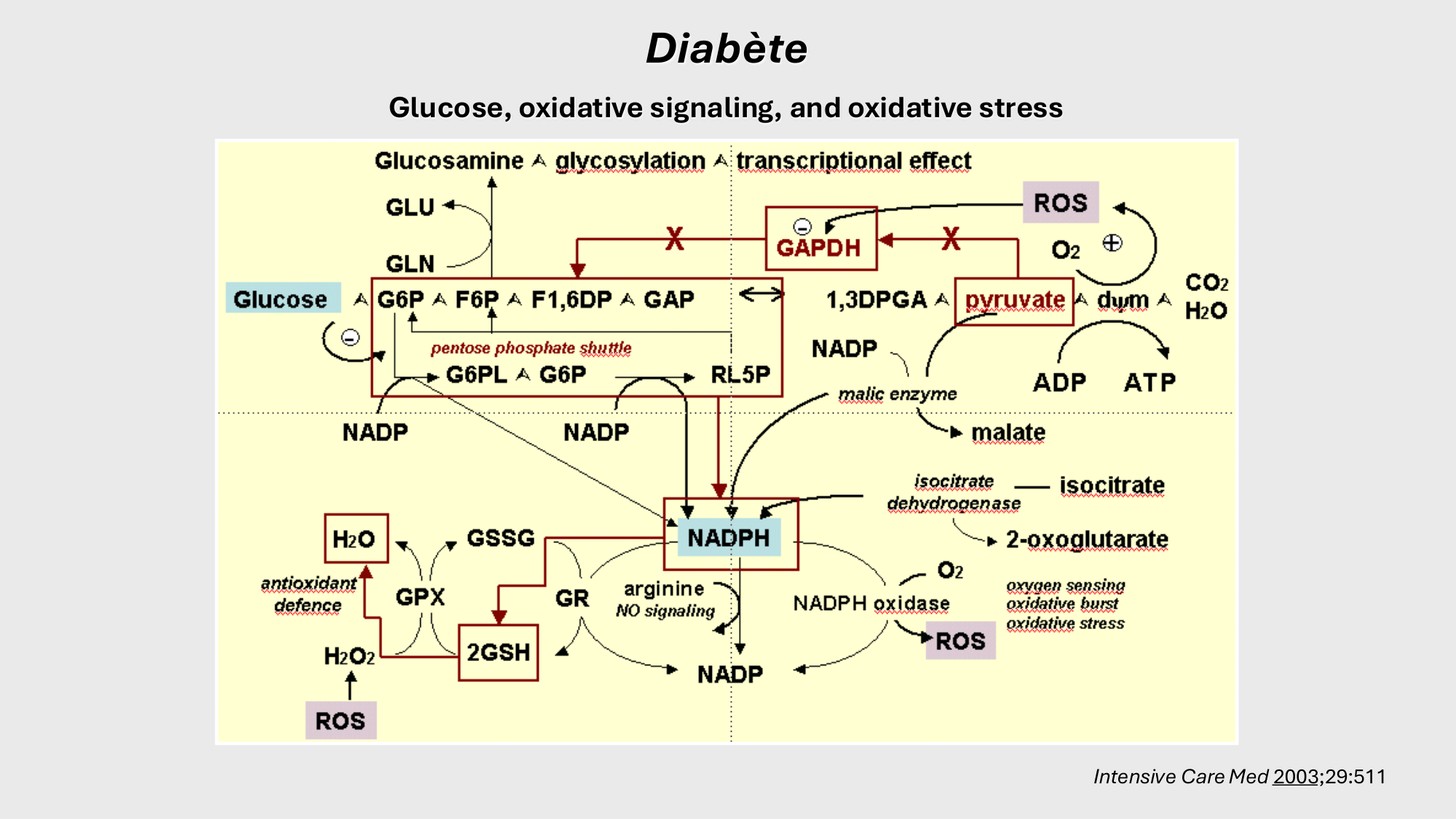 F-Mach-Cas de-liaison-Athero-2-2025 page 15