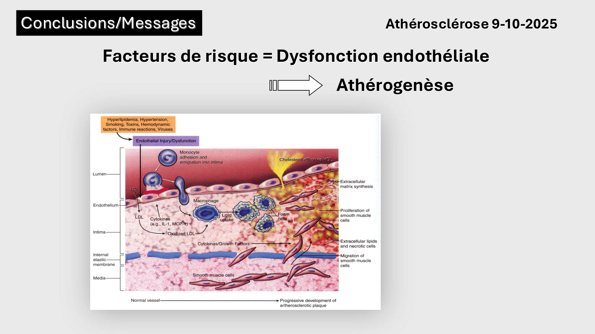 F-Mach-Cas de-liaison-Athero-2-2025 page 61