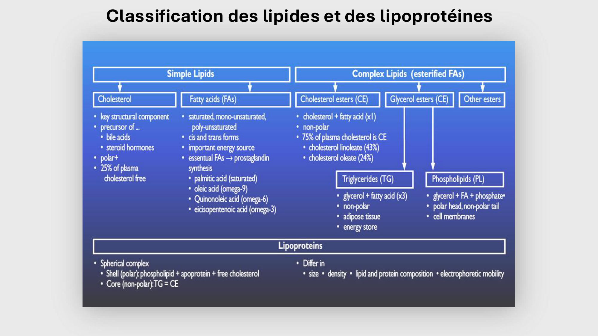 F-Mach-Cas de-liaison-Athero-3-19.11.2025 page 40