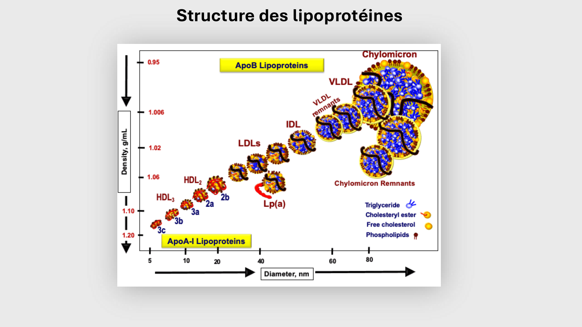 F-Mach-Cas de-liaison-Athero-3-19.11.2025 page 42
