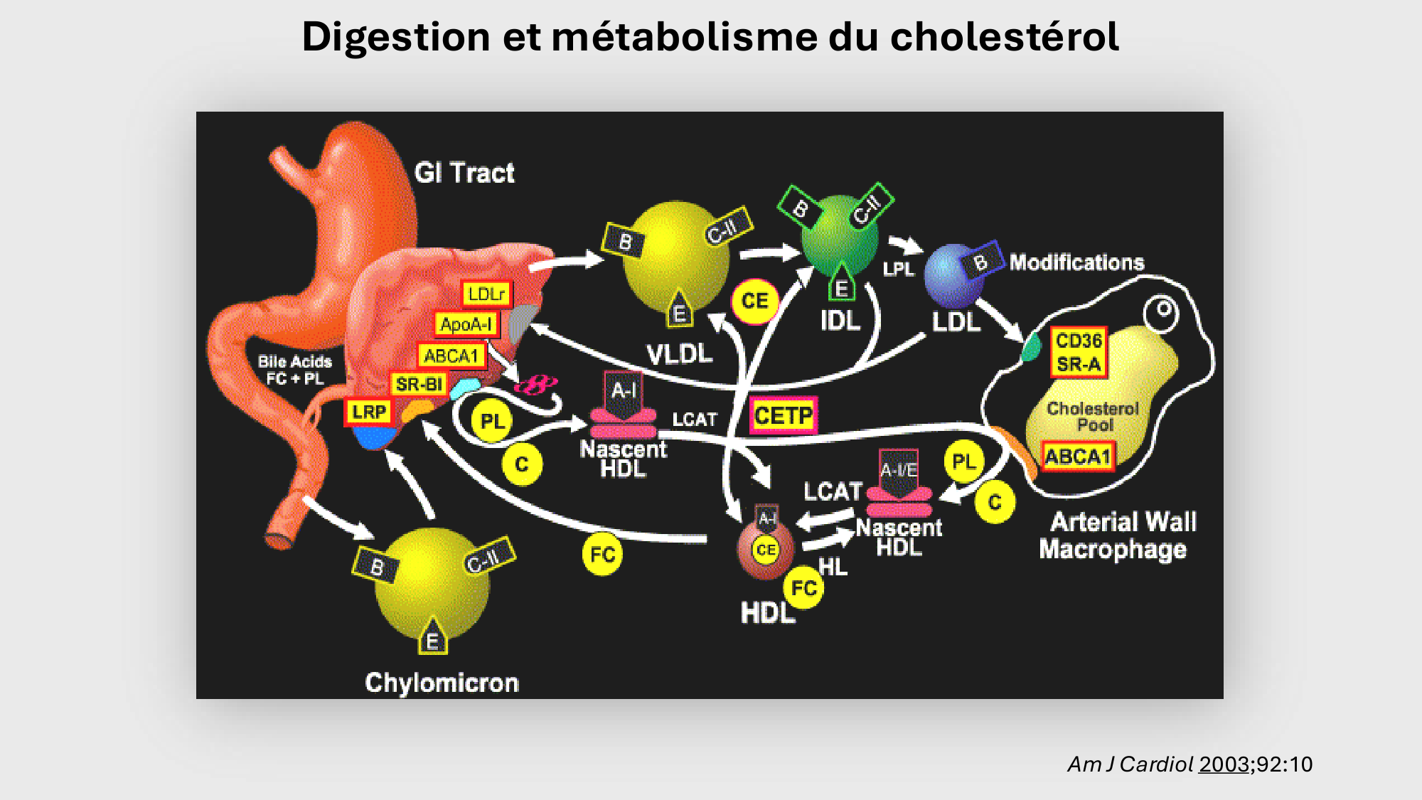 F-Mach-Cas de-liaison-Athero-3-19.11.2025 page 46
