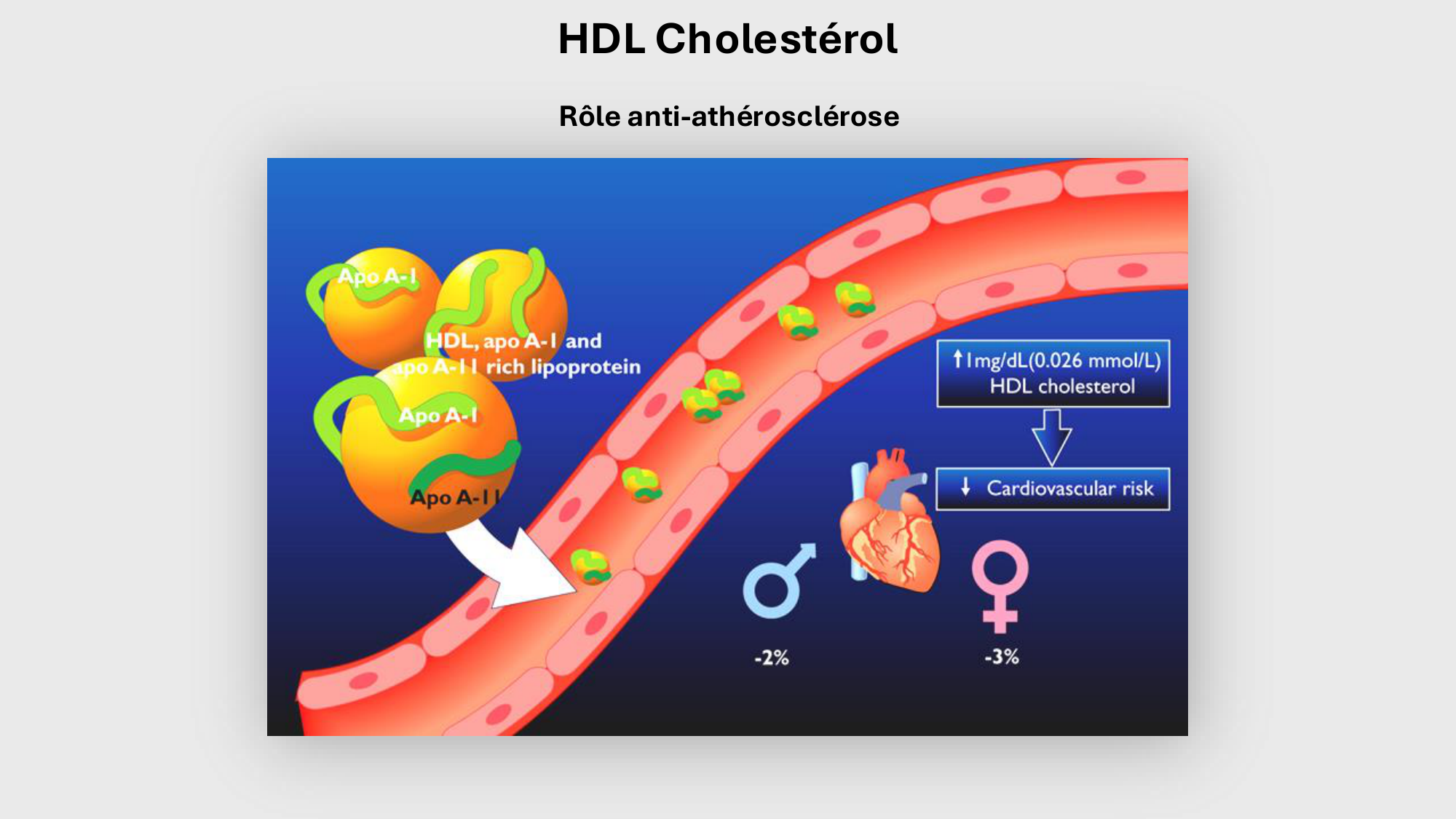 F-Mach-Cas de-liaison-Athero-3-19.11.2025 page 52