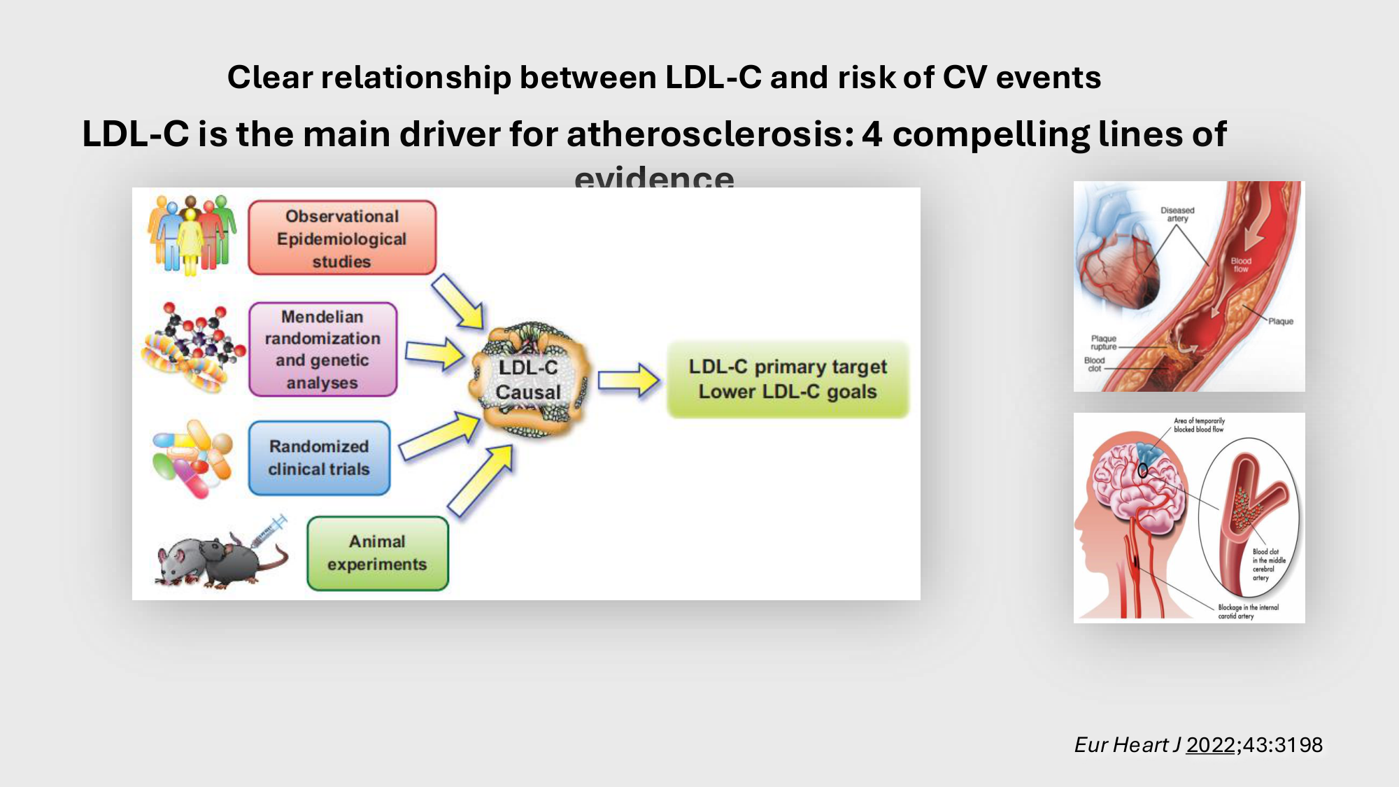F-Mach-Cas de-liaison-Athero-4-11.12.2025 page 5