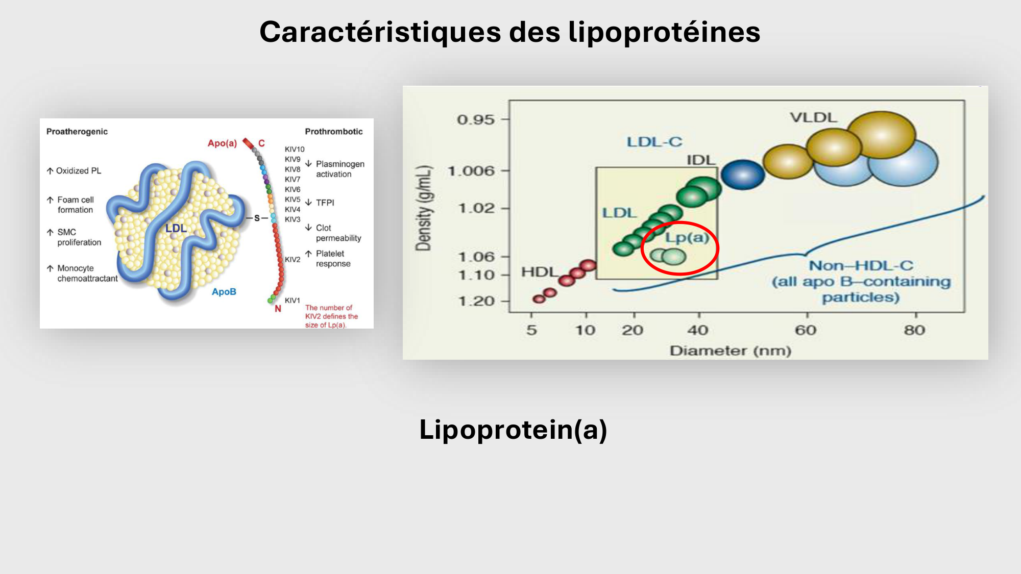 F-Mach-Cas de-liaison-Athero-4-11.12.2025 page 28