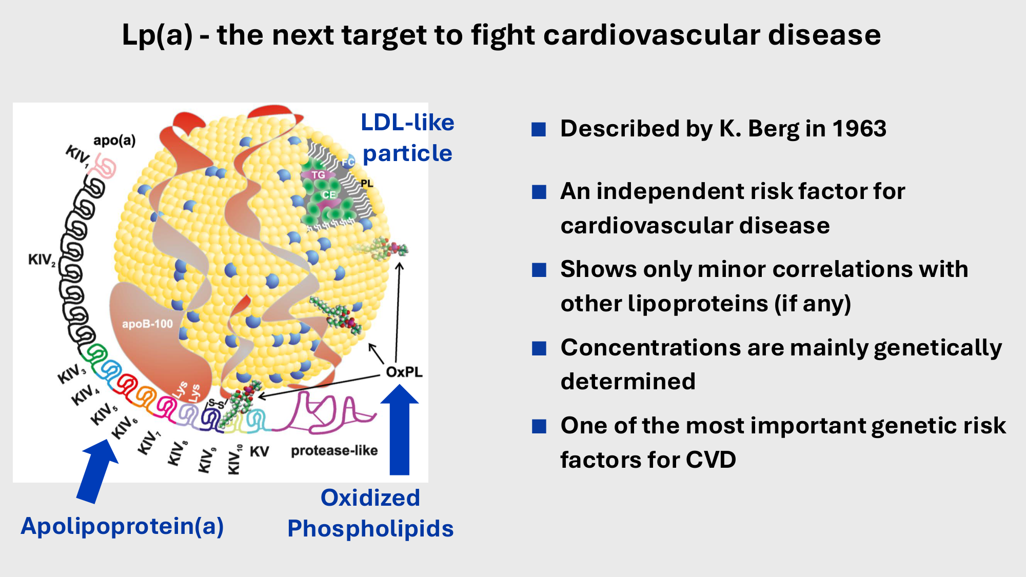 F-Mach-Cas de-liaison-Athero-4-11.12.2025 page 29