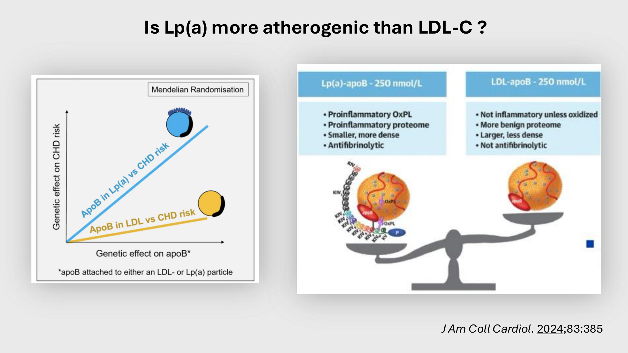 F-Mach-Cas de-liaison-Athero-4-11.12.2025 page 32