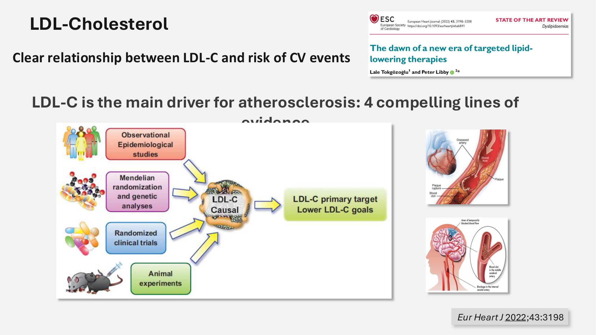 F-Mach-Cas de-liaison-Athero-5-12.1.2026 page 3