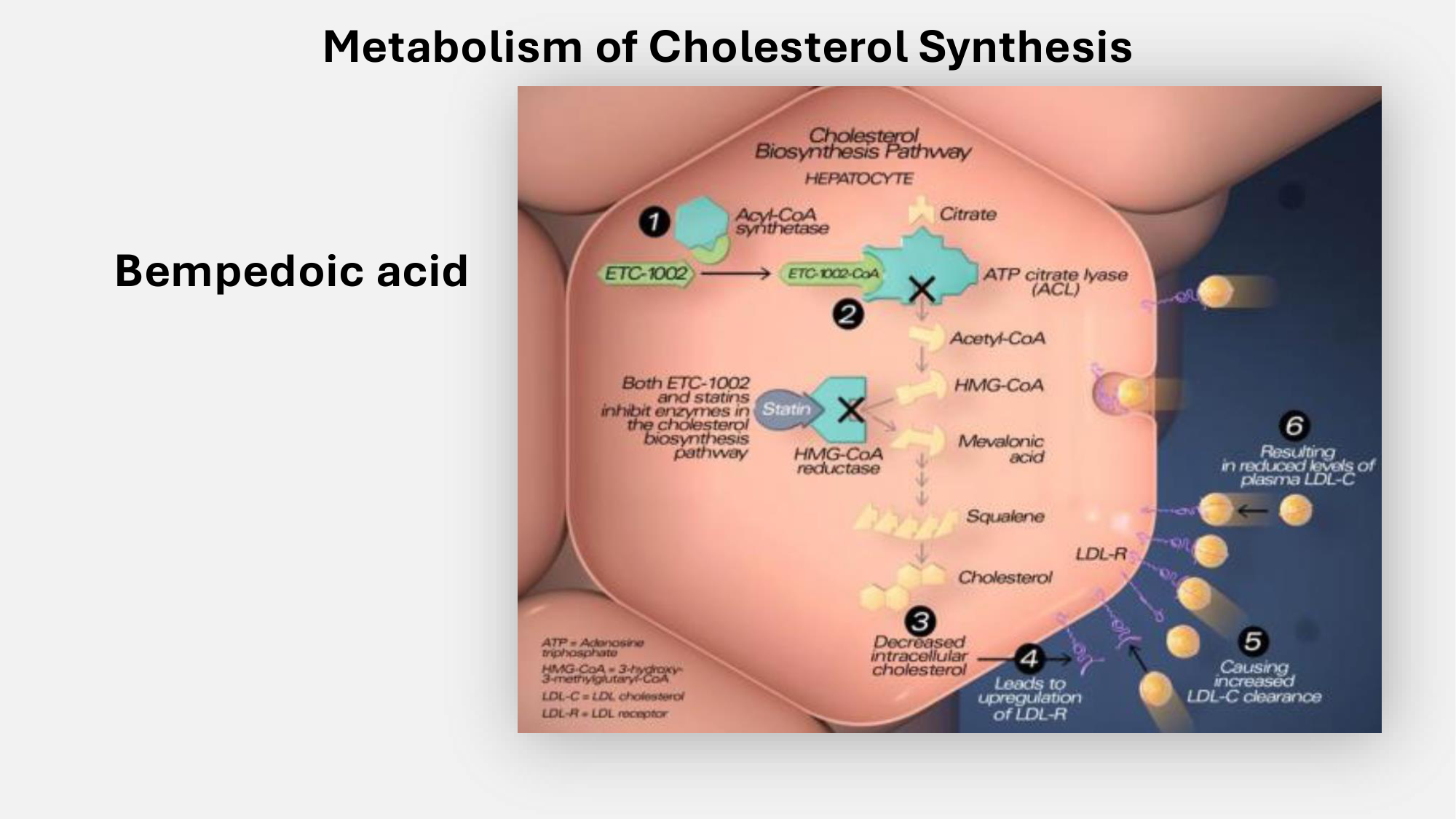 F-Mach-Cas de-liaison-Athero-5-12.1.2026 page 24