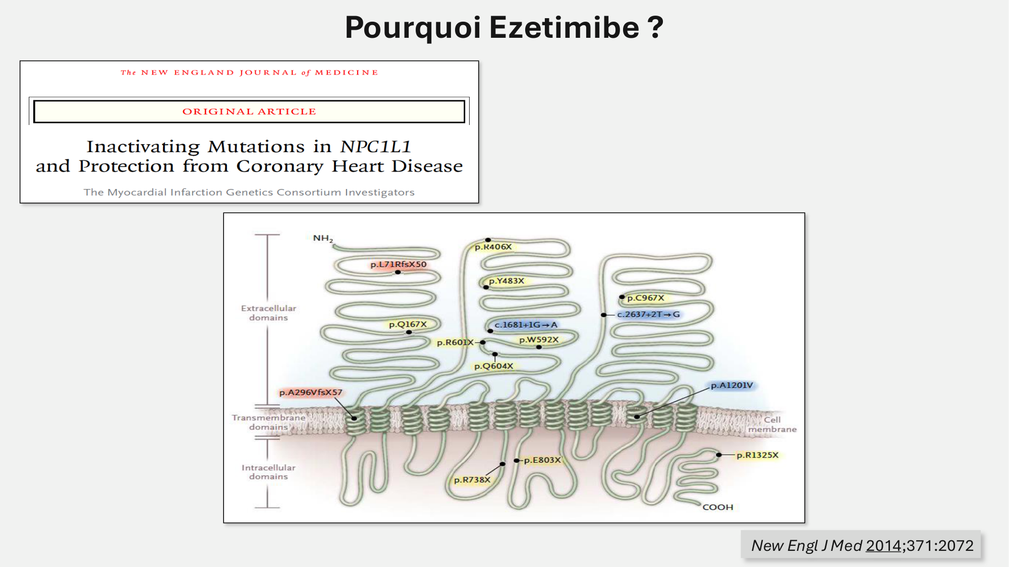 F-Mach-Cas de-liaison-Athero-5-12.1.2026 page 31