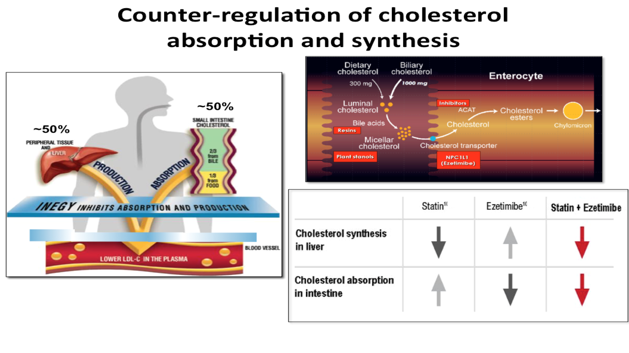 F-Mach-Cas de-liaison-Athero-5-12.1.2026 page 33