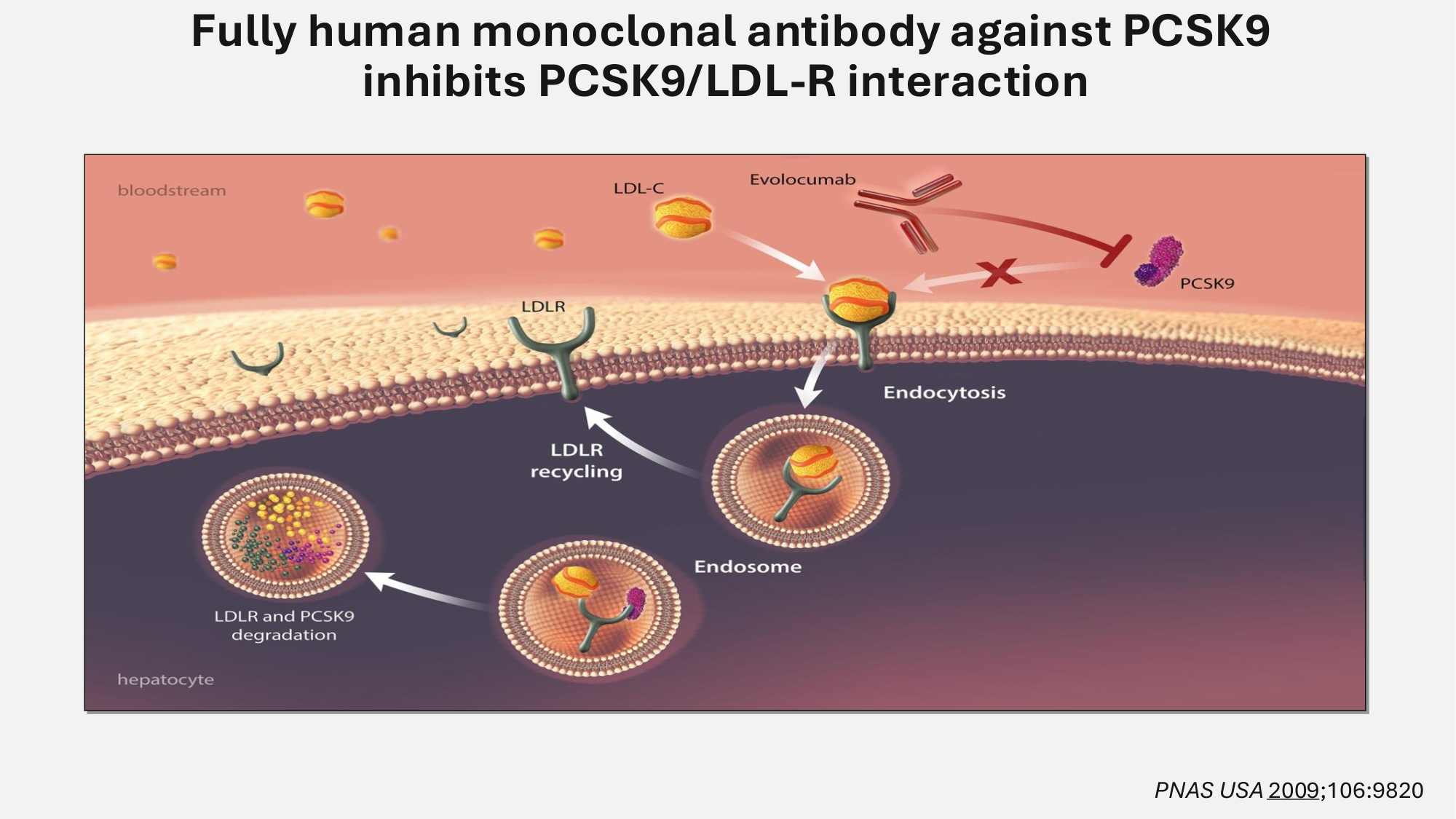 F-Mach-Cas de-liaison-Athero-5-12.1.2026 page 42