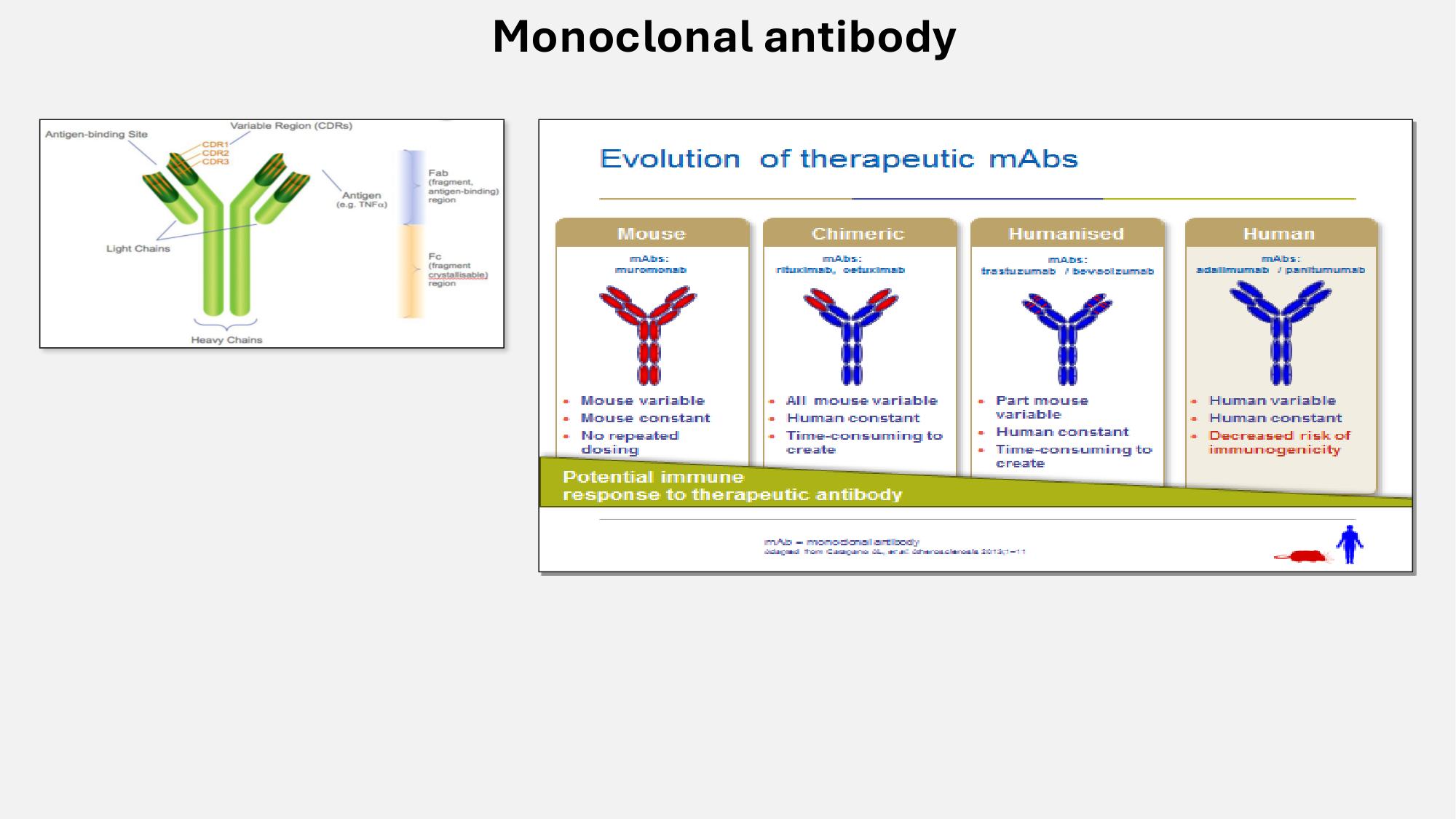 F-Mach-Cas de-liaison-Athero-5-12.1.2026 page 51