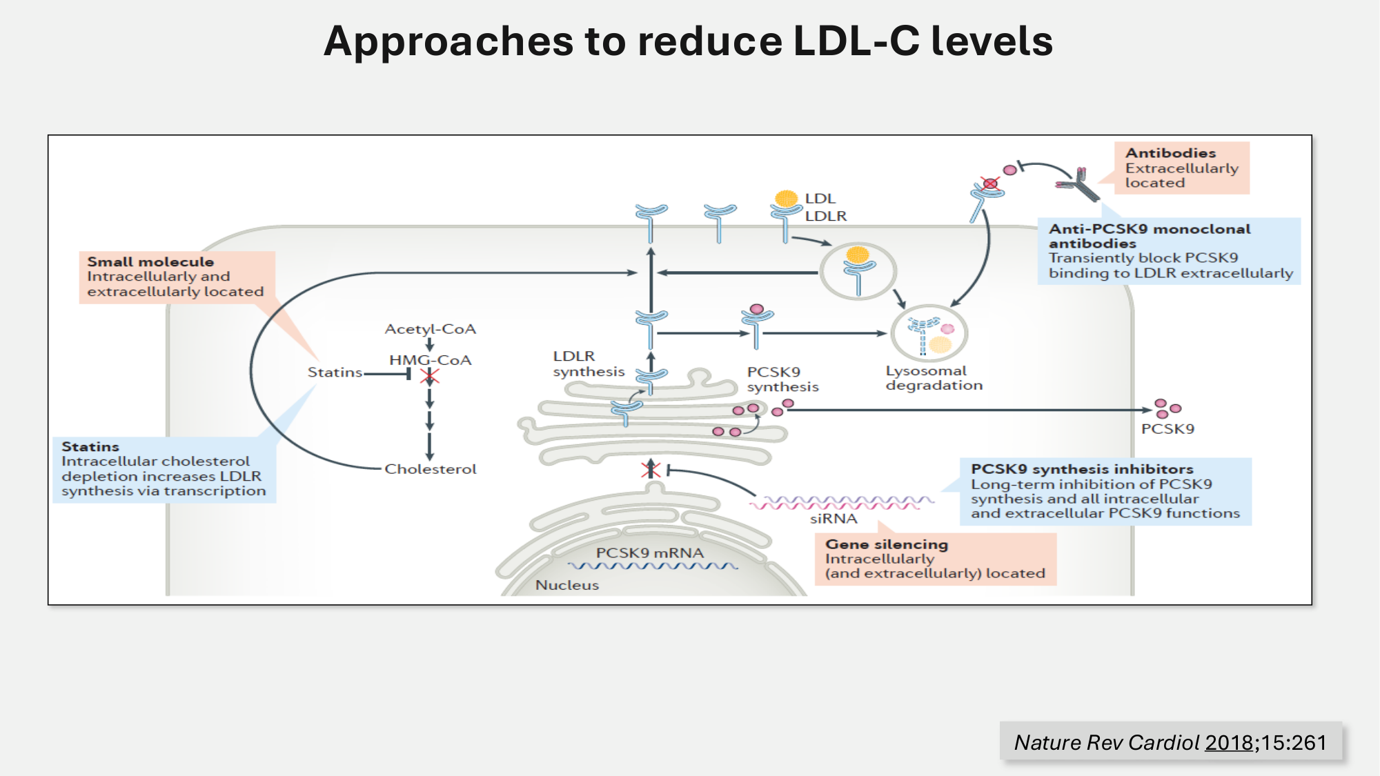 F-Mach-Cas de-liaison-Athero-5-12.1.2026 page 56
