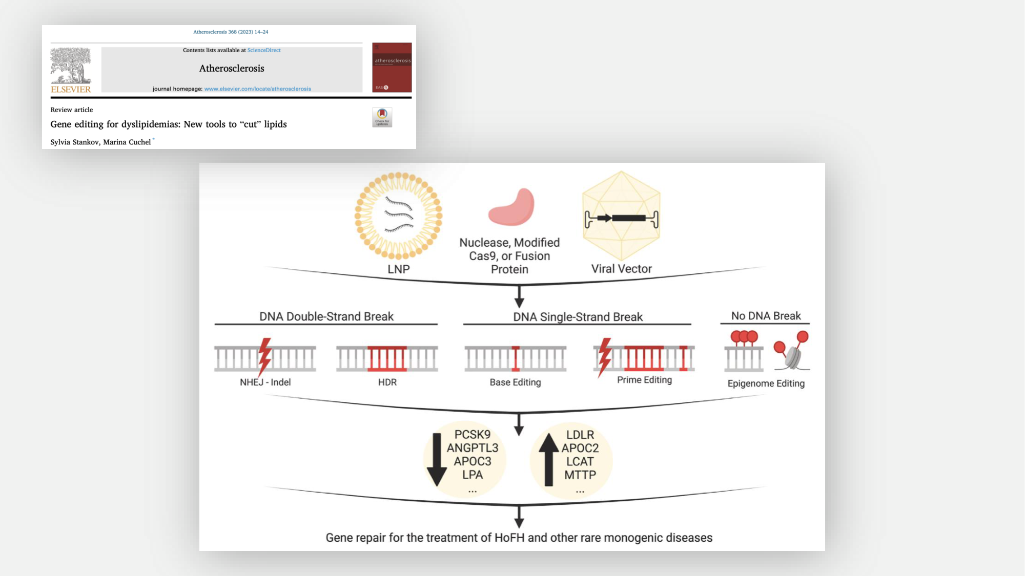 F-Mach-Cas de-liaison-Athero-5-12.1.2026 page 67