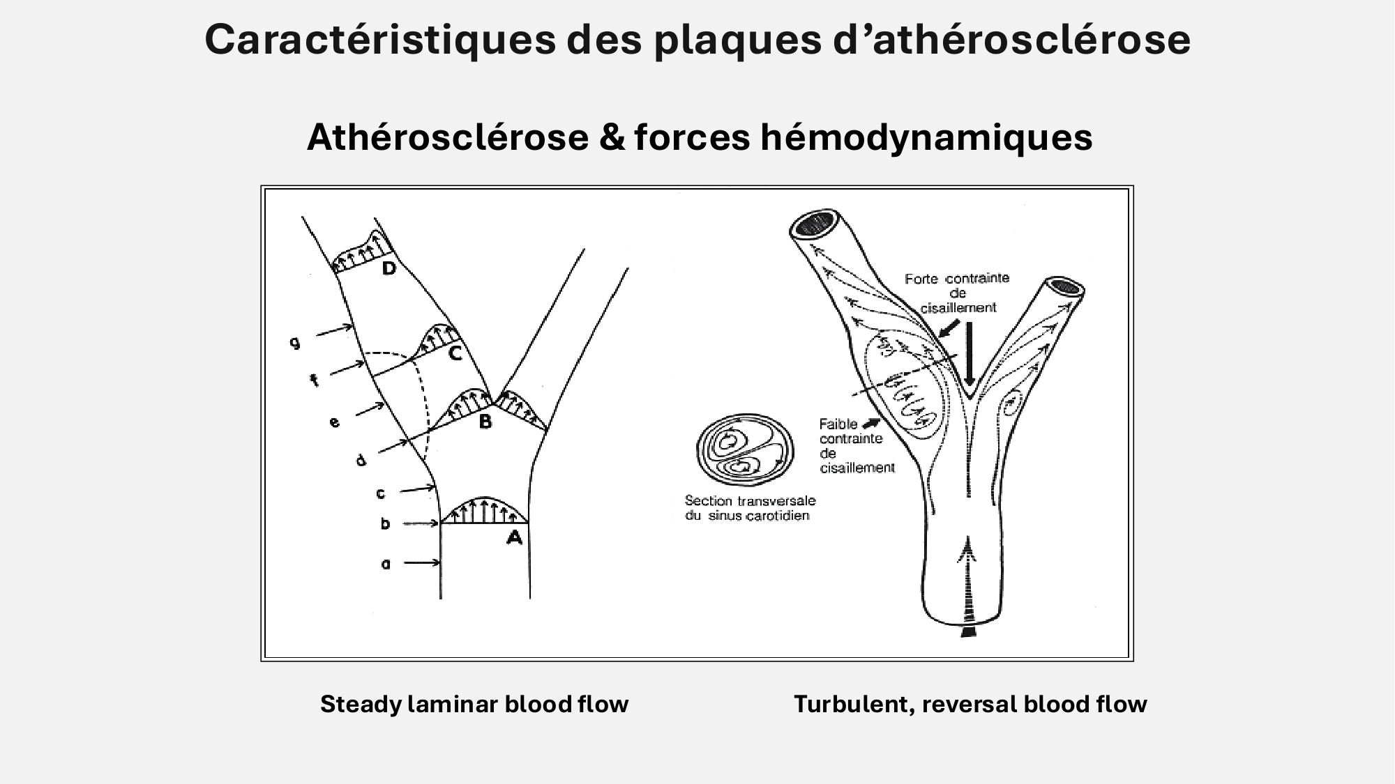 F-Mach-Cas de-liaison-Athero-6-29.1.2026.pdf page 3