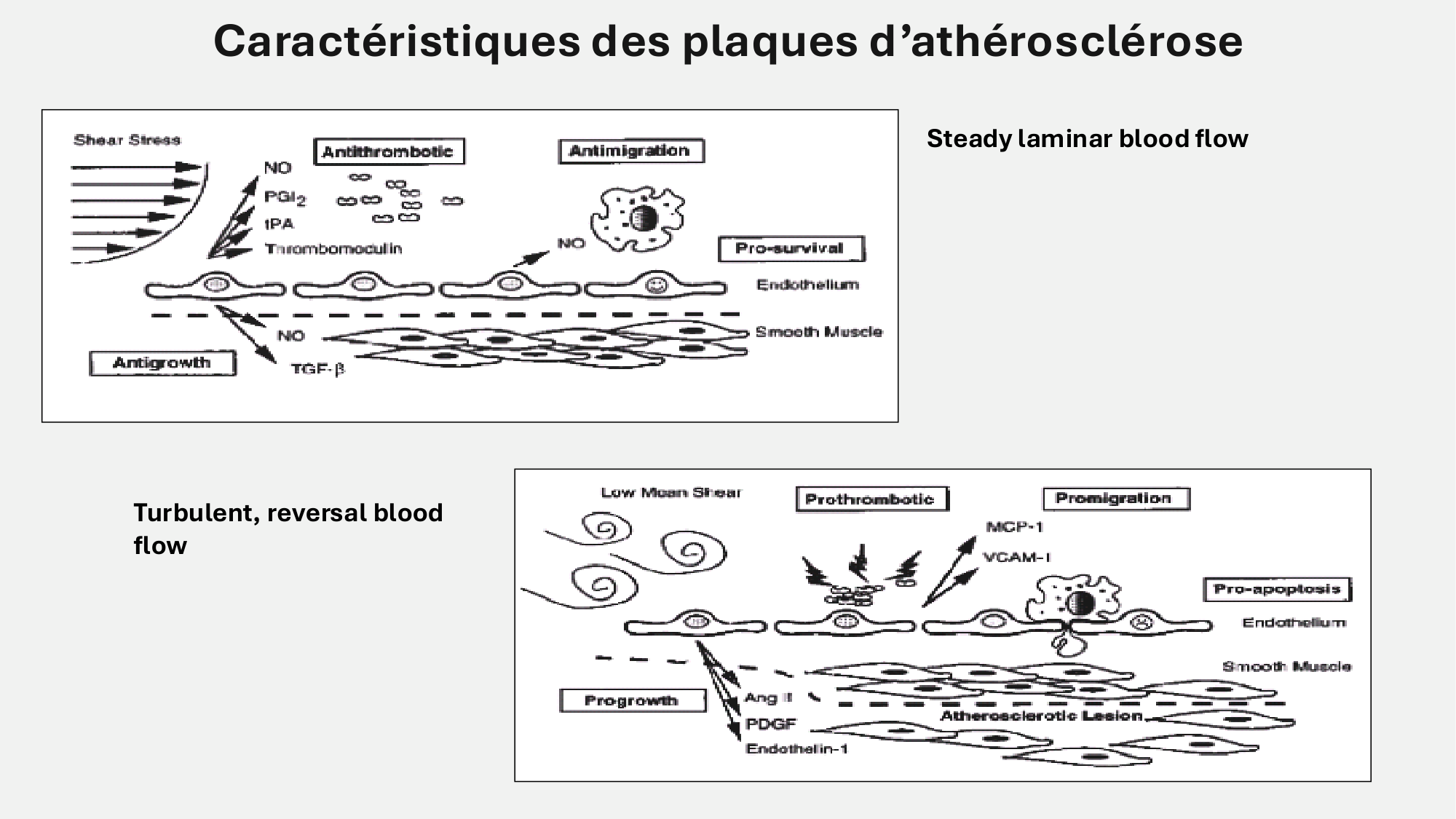 F-Mach-Cas de-liaison-Athero-6-29.1.2026.pdf page 4