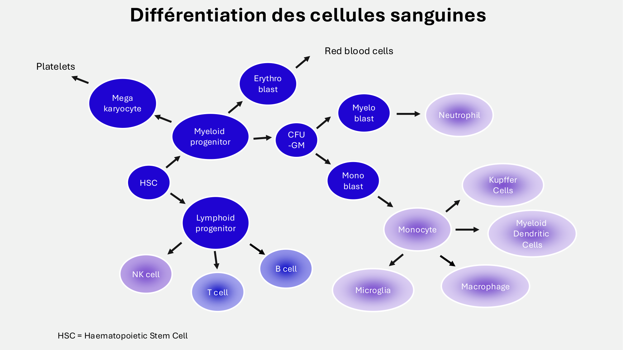 F-Mach-Cas de-liaison-Athero-6-29.1.2026.pdf page 12