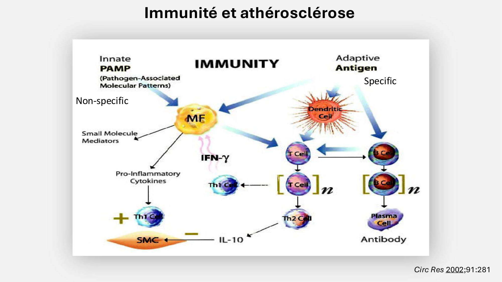 F-Mach-Cas de-liaison-Athero-6-29.1.2026.pdf page 13